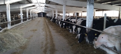 ЗАКРЫТОЕ АКЦИОНЕРНОЕ ОБЩЕСТВО «ЛЕОНТЬЕВО» ЗАКРЫТОЕ АКЦИОНЕРНОЕ ОБЩЕСТВО «ЛЕОНТЬЕВО»