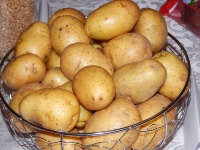 ЗАО «Городище» 