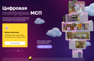 Цифровая платформа МСП