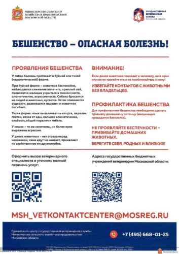 Бешенство-опасная болезнь1