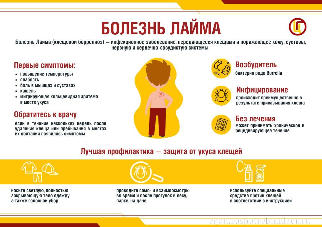 Болезнь Лайма