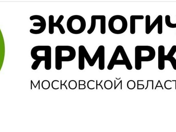 Экологическая ярмарка04