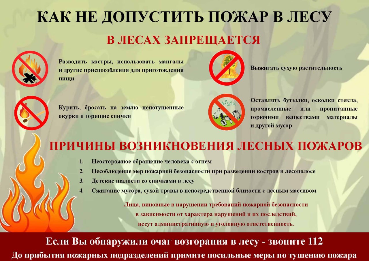 Как не допустить пожар в лесу