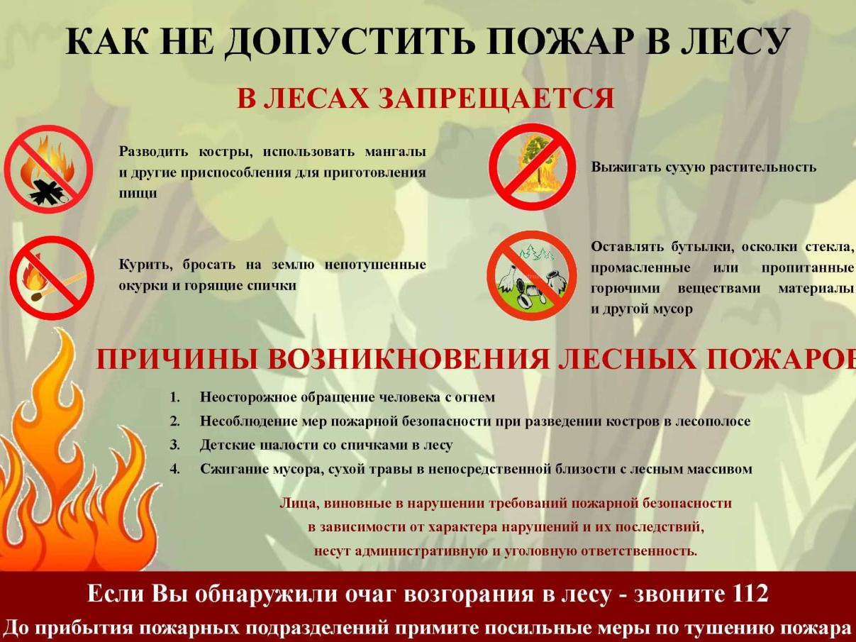 Как не допустить пожар в лесу