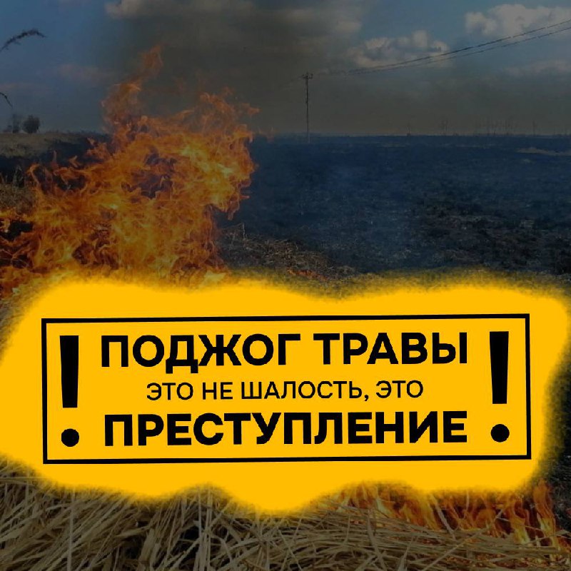 Поджог травы, преступление!