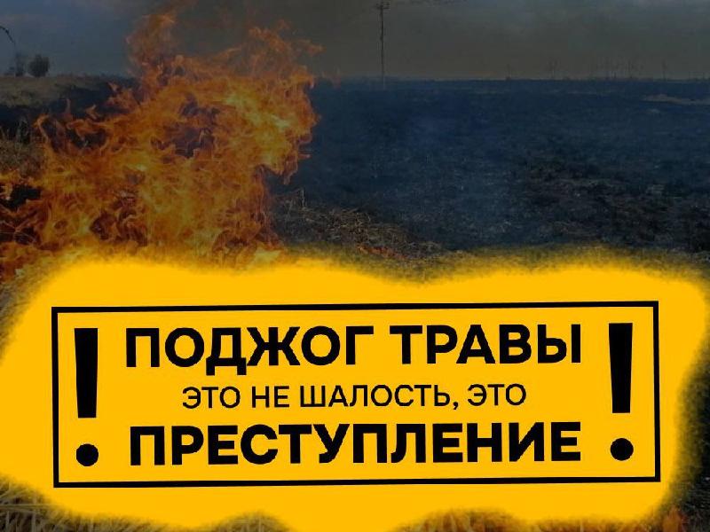 Поджог травы, преступление!
