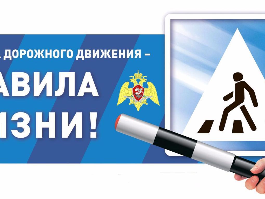 Правила дорожного движения-Правила жизни!