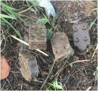 Раскладка вакцины от бешенства1