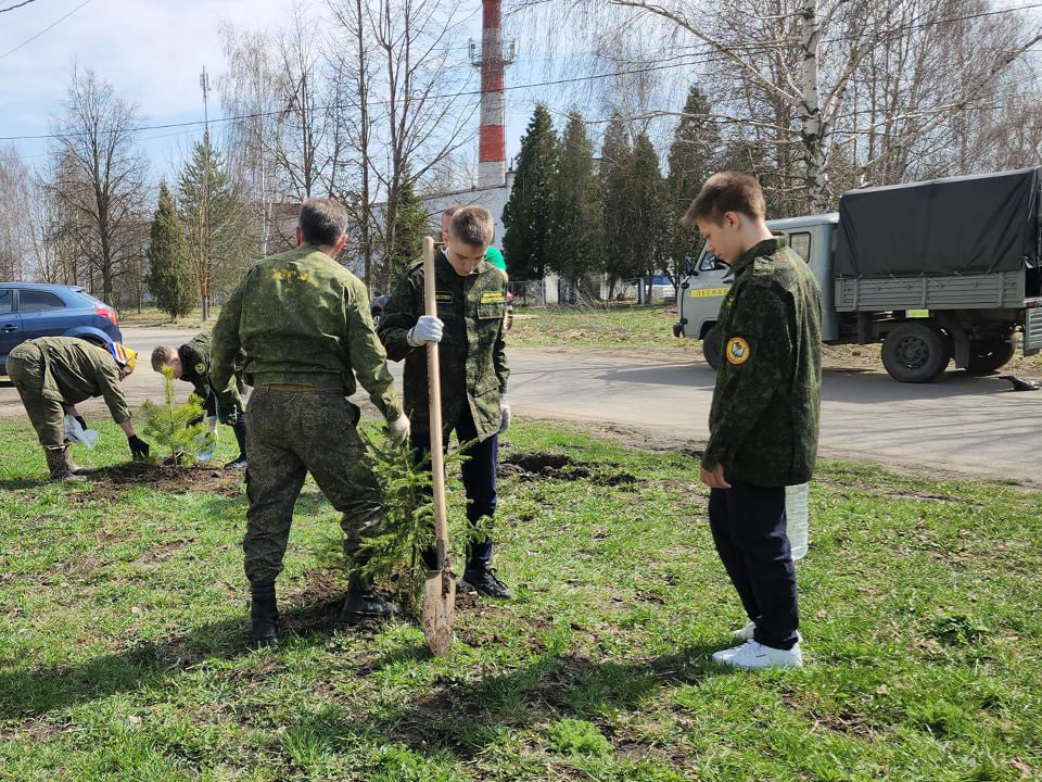 Школьные лесничие из Ступино поддержали традицию высаживать «Лес Победы»