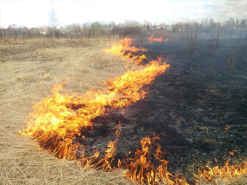 Сжигание сухой растительности и стерни может стать причиной пожара