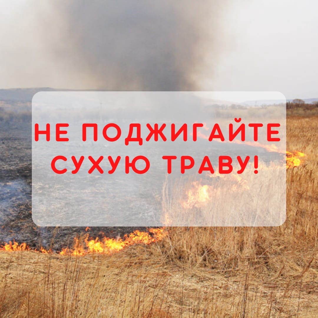 Травяной пал – это настоящее стихийное бедствие.