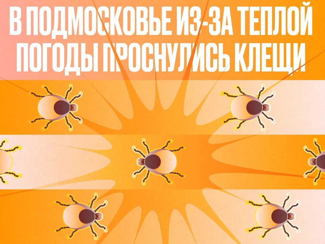 В Подмосковье проснулись клещи. Будьте внимательны!