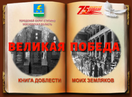 Великая Победа. Книга доблести моих земляков5