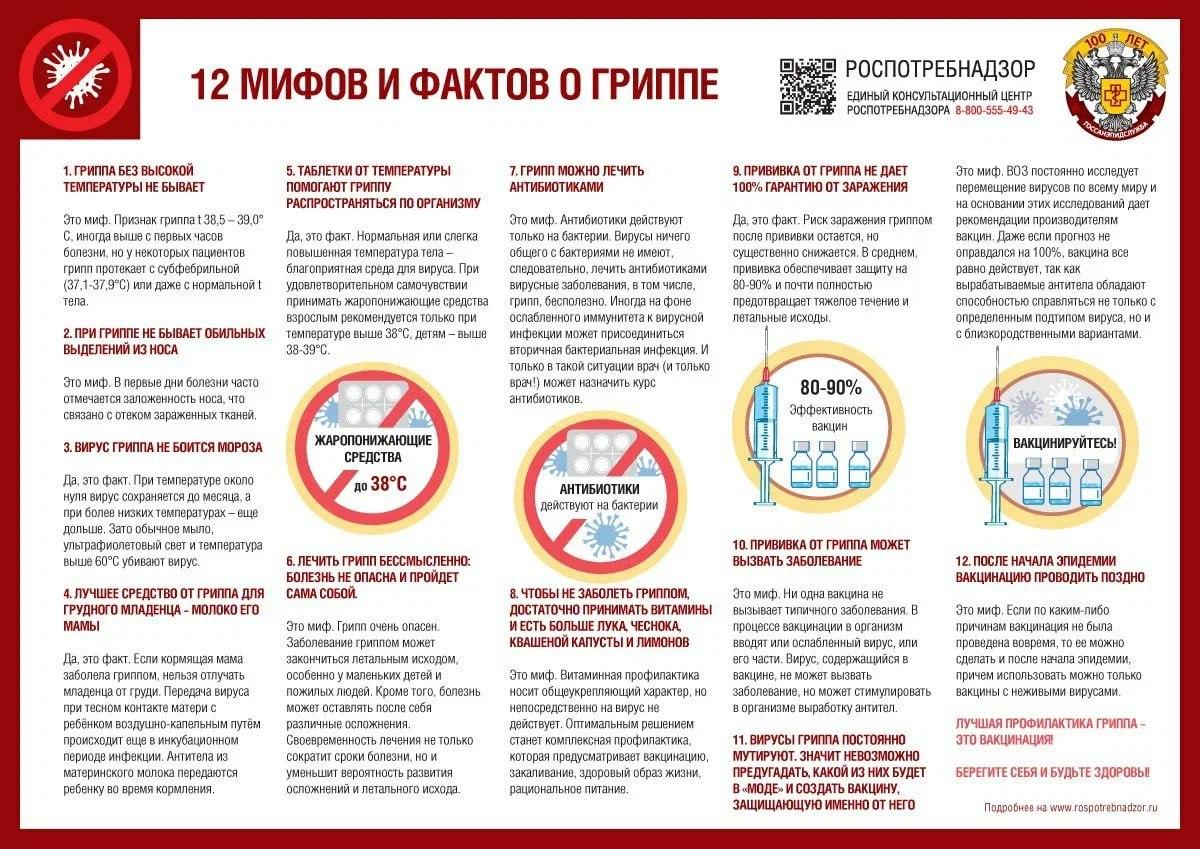 12 мифов о гриппе