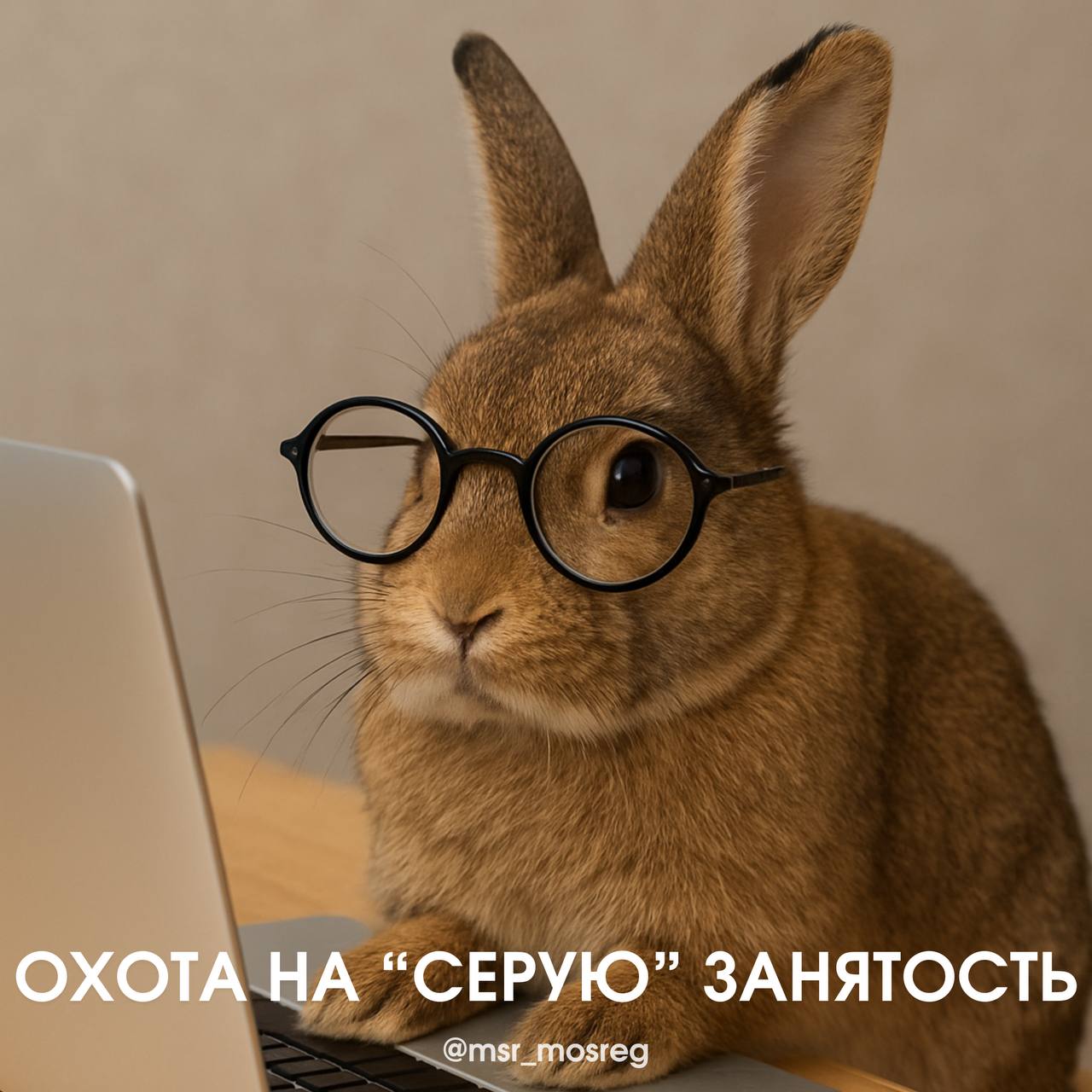 Охота на «серую» занятость 