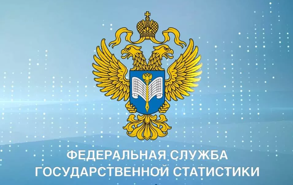 Федеральная служба государственной статистики