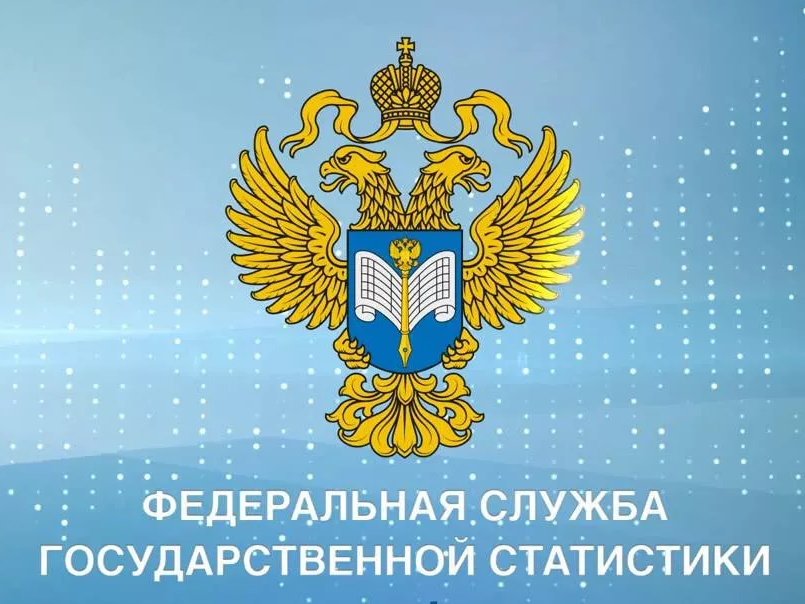 Федеральная служба государственной статистики